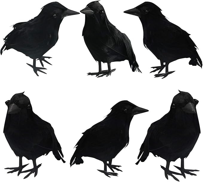 FUNPENY Halloween Black Feathered Crows, Lifelik Halloween Decoration Birds with Real Feather (6 ... | Amazon (US)