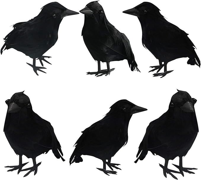 FUNPENY Halloween Black Feathered Crows, 3 Pack Black Crows with Real Feather Halloween Decoratio... | Amazon (US)