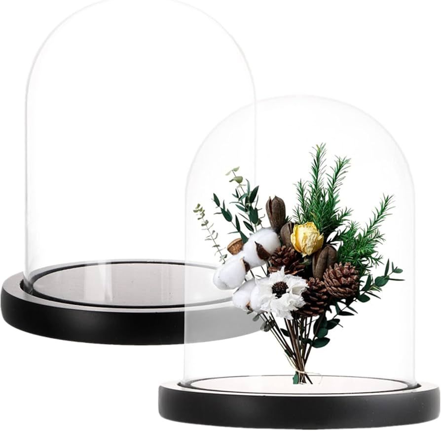 ZOOFOX Set of 2 Glass Dome Cloche with Black Wooden Base, 5.7" x 6.5" Decorative Bell Jar Display... | Amazon (US)