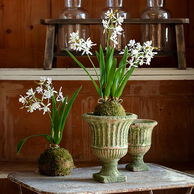 Aged Garden Pedestal Urn 10 Inch | Antique Farm House