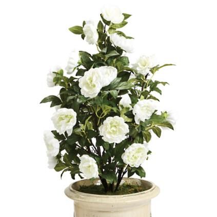 Enjoy the bright and delicate beauty of fresh peonies without any of the upkeep. Expertly crafted... | Frontgate