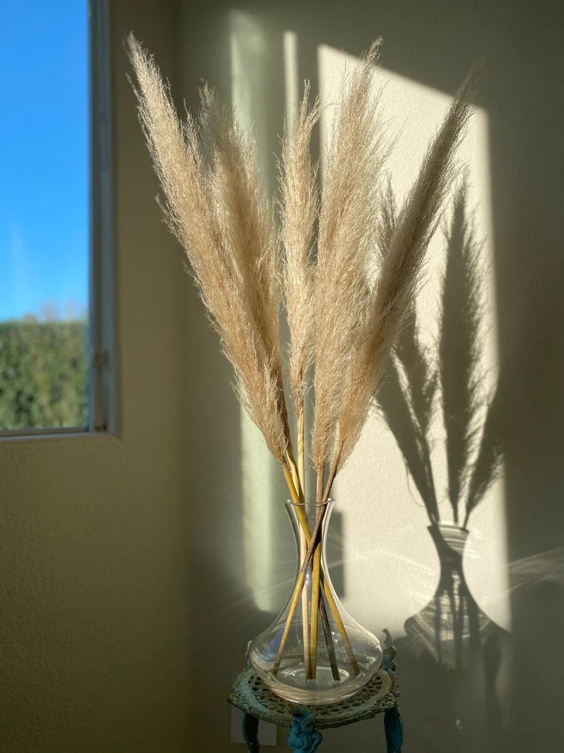 Pampas Grass - Natural Dried Pampas Grass Decor, Dry Pampas Plant, Dry Boho Wedding Flower, Bohem... | Etsy (US)
