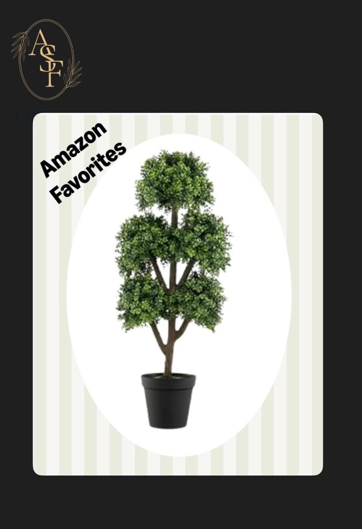 Topiary plants 

#LTKHome