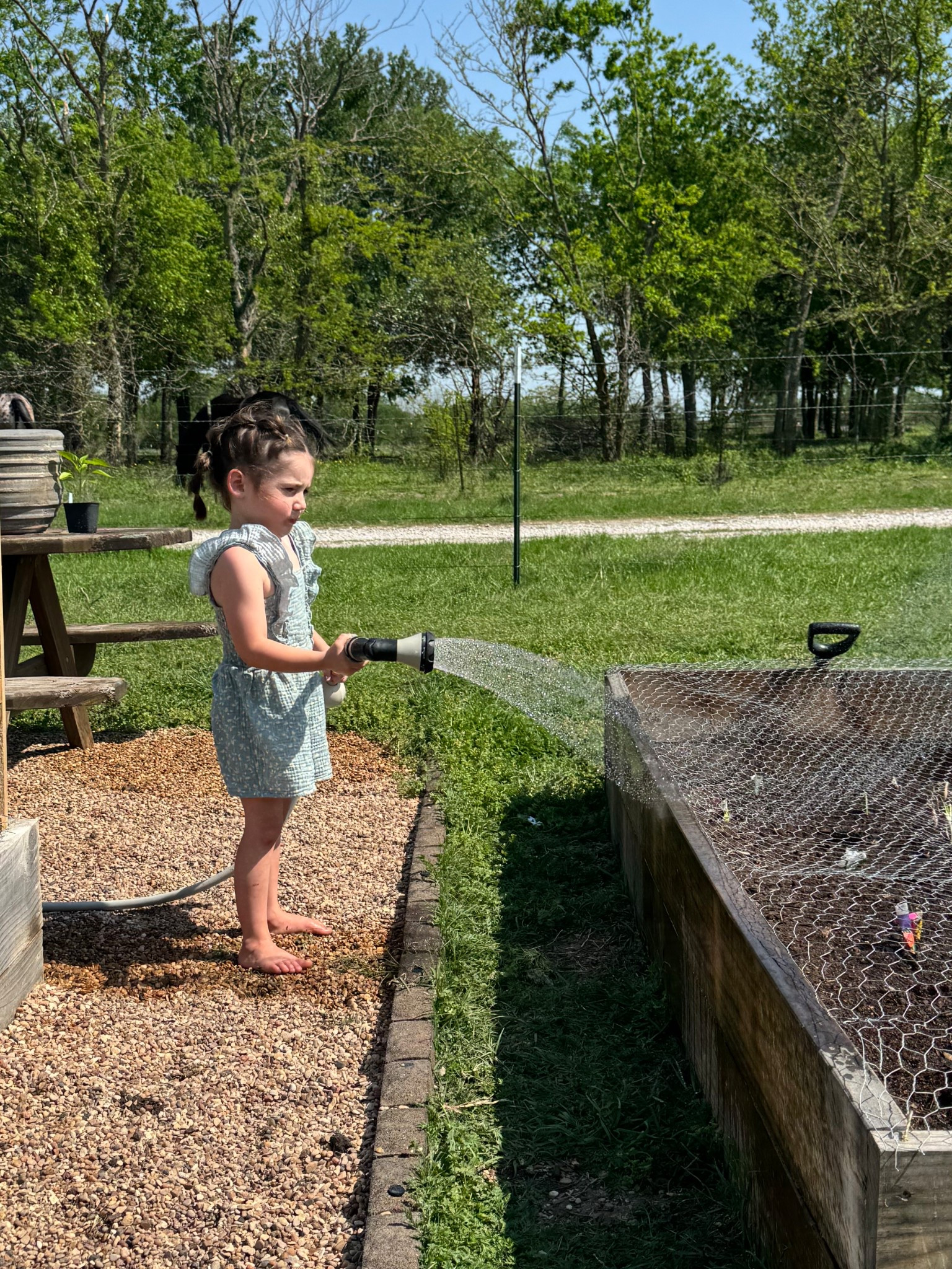 #garden 

#LTKHome #LTKKids