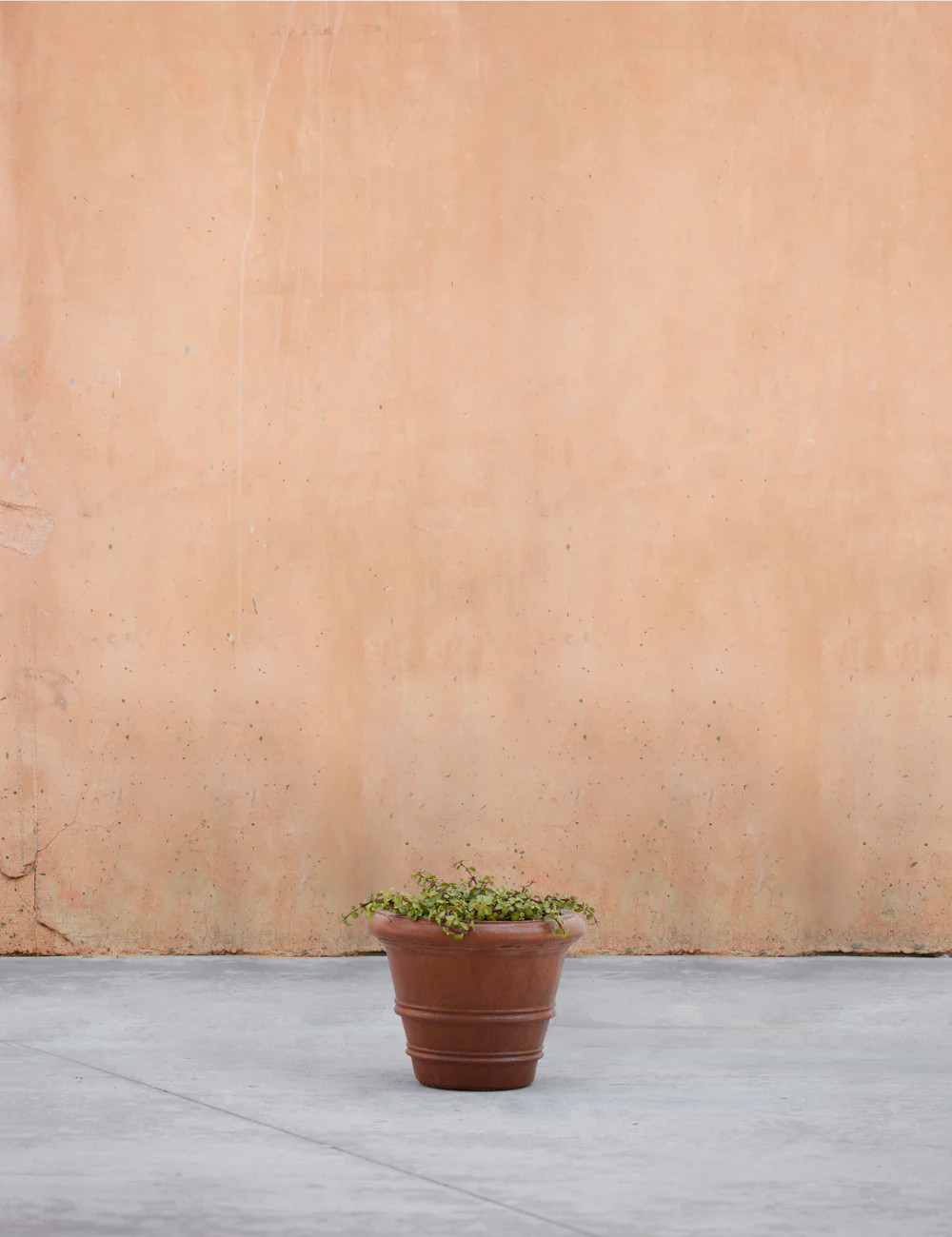 Classic Rolled Rim Planter | Lulu and Georgia 