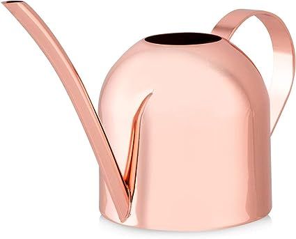 Smouldr Mini Plant Watering Can Indoor: Rose Gold Small Watering Can Helps You Water Tiny House P... | Amazon (US)