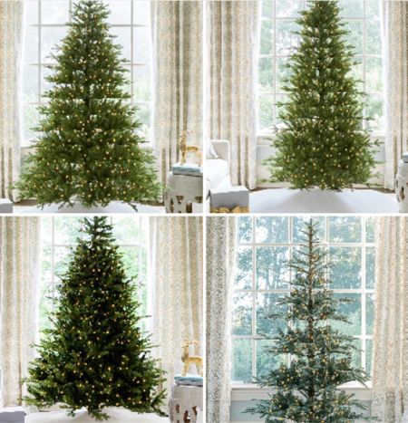 Grab your King of Christmas tree now before it’s too late! These all make for great neutral holiday decor!

#LTKSeasonal #LTKHolidaySale #LTKHoliday