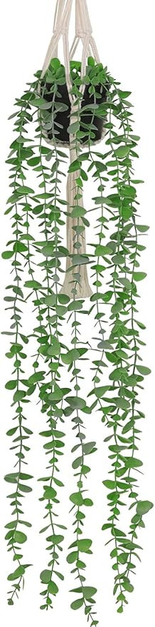 Asano Season Fake Plants Artificial Eucalyptus with Hanging Plant Hanger 2.6 FT Faux Greenery Vin... | Amazon (US)