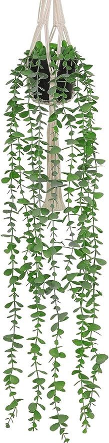 Asano Season Fake Plants Artificial Eucalyptus with Hanging Plant Hanger 2.6 FT Faux Greenery Vin... | Amazon (US)