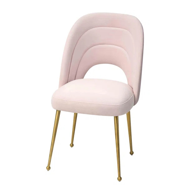 Fishel Velvet Side Chair | Wayfair North America