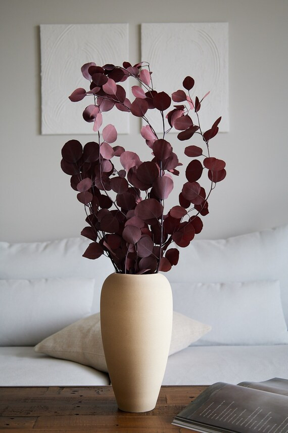 Silver Dollar Eucalyptus Red Preserved  Dried Eucalyptus - Etsy | Etsy (US)