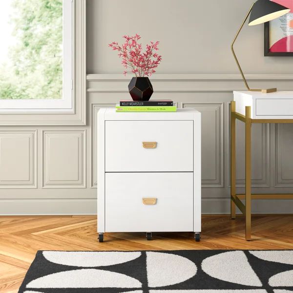 Flaviana 2-Drawer Vertical Filing Cabinet | Wayfair Professional