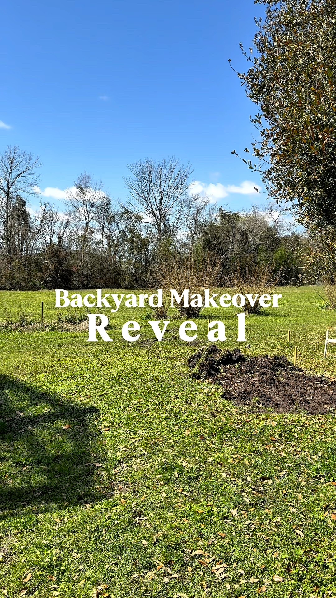 Backyard Makeover Reveal! #diy #backyard #patio #outdoordecorating

#LTKSeasonal #LTKHome