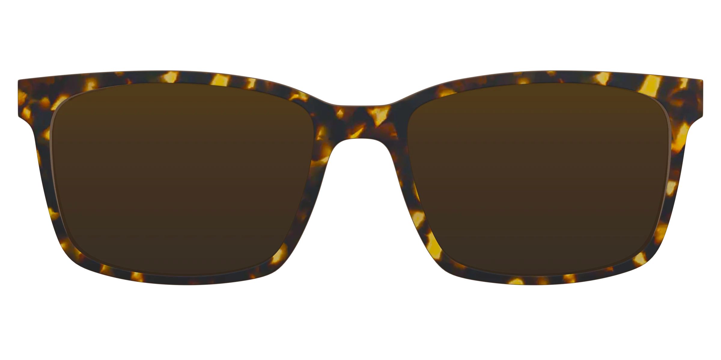 The Tortoise Sun Top | Pair Eyewear