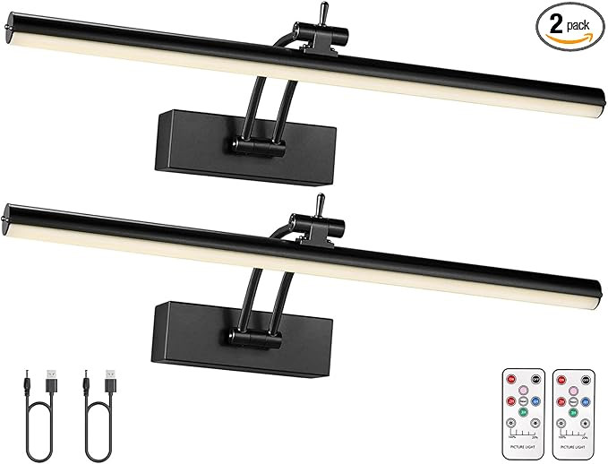 2 Pack Picture Light for Wall Battery Operated, 16 inch Wireless Art Lighting for Painting with R... | Amazon (US)