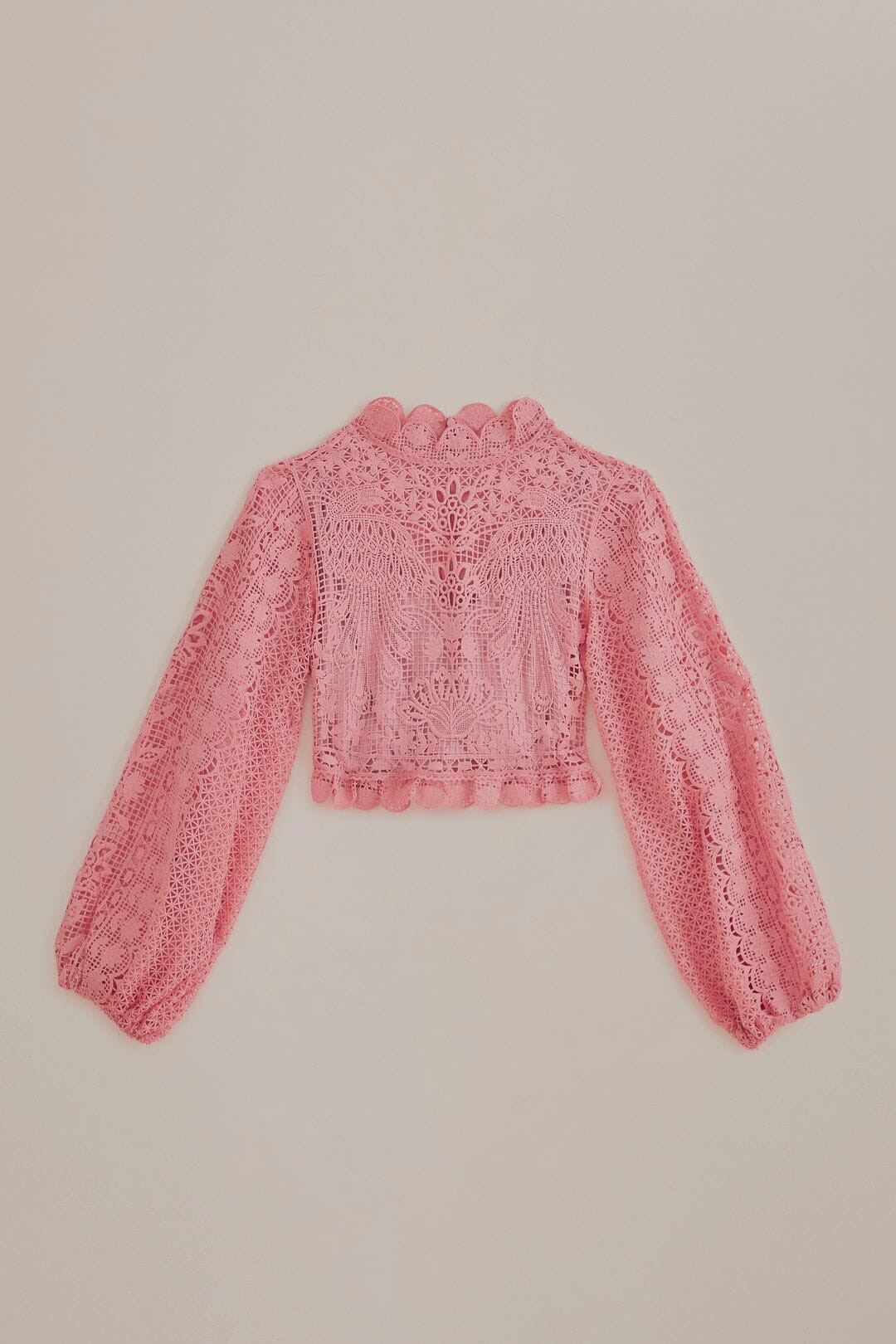 Blush Pink Guipure Long Sleeve Blouse | FarmRio (US)