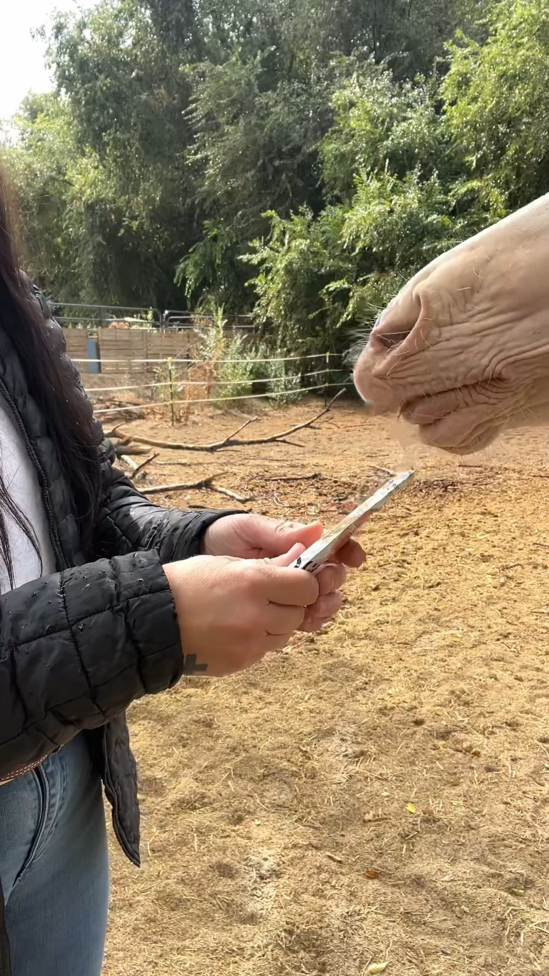 Split Nutrition sent me this product months ago and we continue to stock it in the snack bag. It's become a favorite around here. #snack 

#LTKTravel #LTKKids