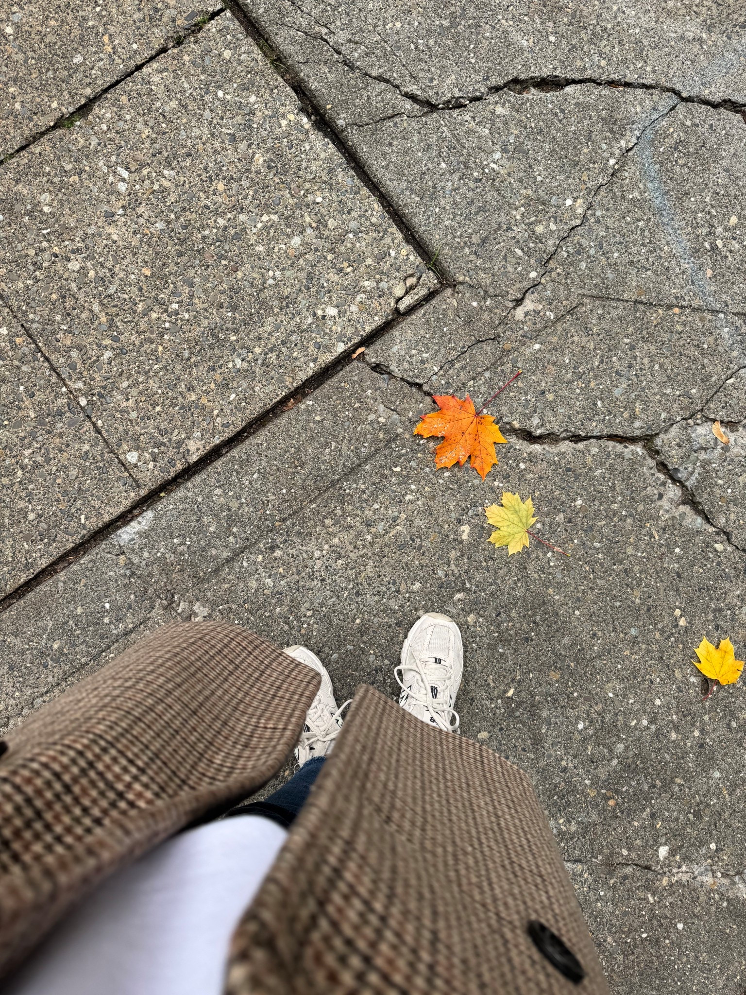 Fall OOTD 🍁🍂🧸
STYLE EDIT

#LTKSeasonal #LTKdayinmylife #LTKootd