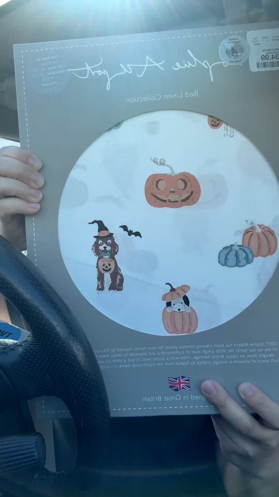 Halloween bedding!! 🎃



#LTKSeasonal #LTKKids #LTKHome