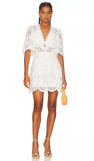 Alexis lace mini outlet dress