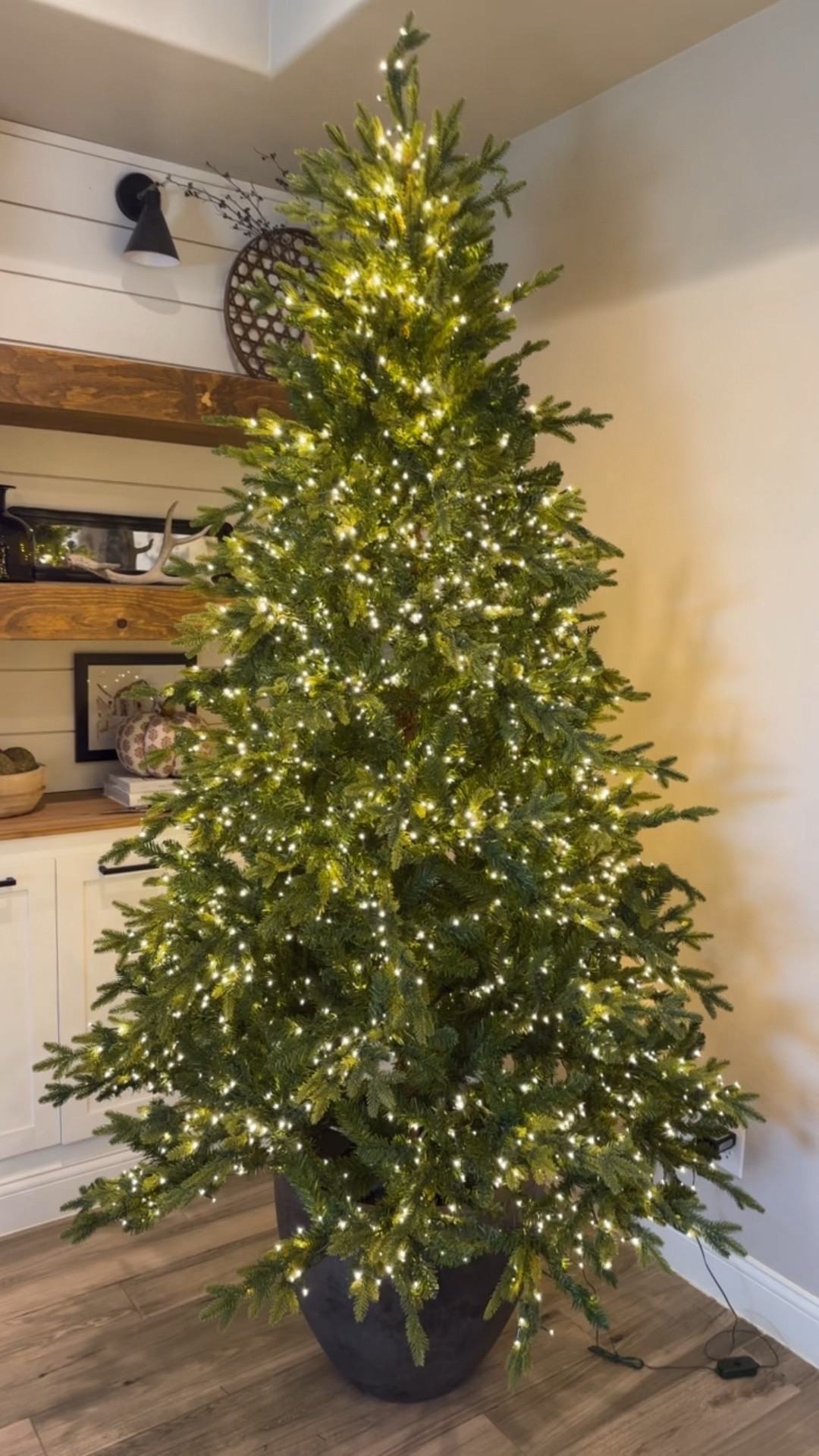 7.5ft. Pre-Lit Bradley Spruce Christmas Tree with over 3000 lights and 8 light settings ✨

Viral tree

#LTKSeasonal #LTKHoliday