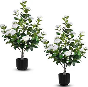 Hananona 2 Pcs Artificial Camellia Trees Faux Camellia Plant in Pot with Flowers Indoor Plants fo... | Amazon (US)