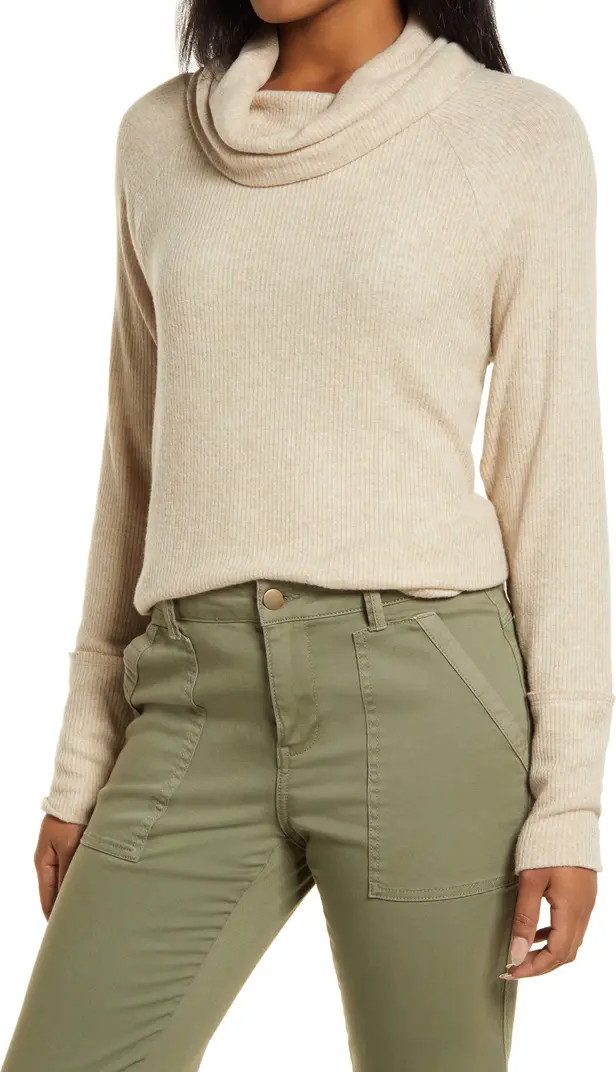 Caslon® Cowl Neck Tunic Top | Nordstrom | Nordstrom