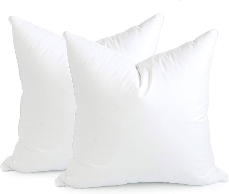 Hofdeco Premium Throw Pillow Inserts Set of 2, 22"x22" (for Cover Size 20"x20") Water Resistant S... | Amazon (US)