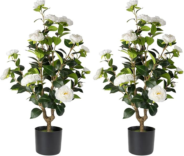Datietiao Artificial Camellia Tree 2 Pack - Realistic Camellia Plants in Pot with White Flowers, ... | Amazon (US)