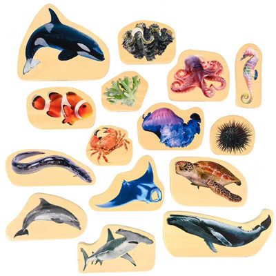 TickiT® Wooden Sea Life Blocks - Set of 15 | Target