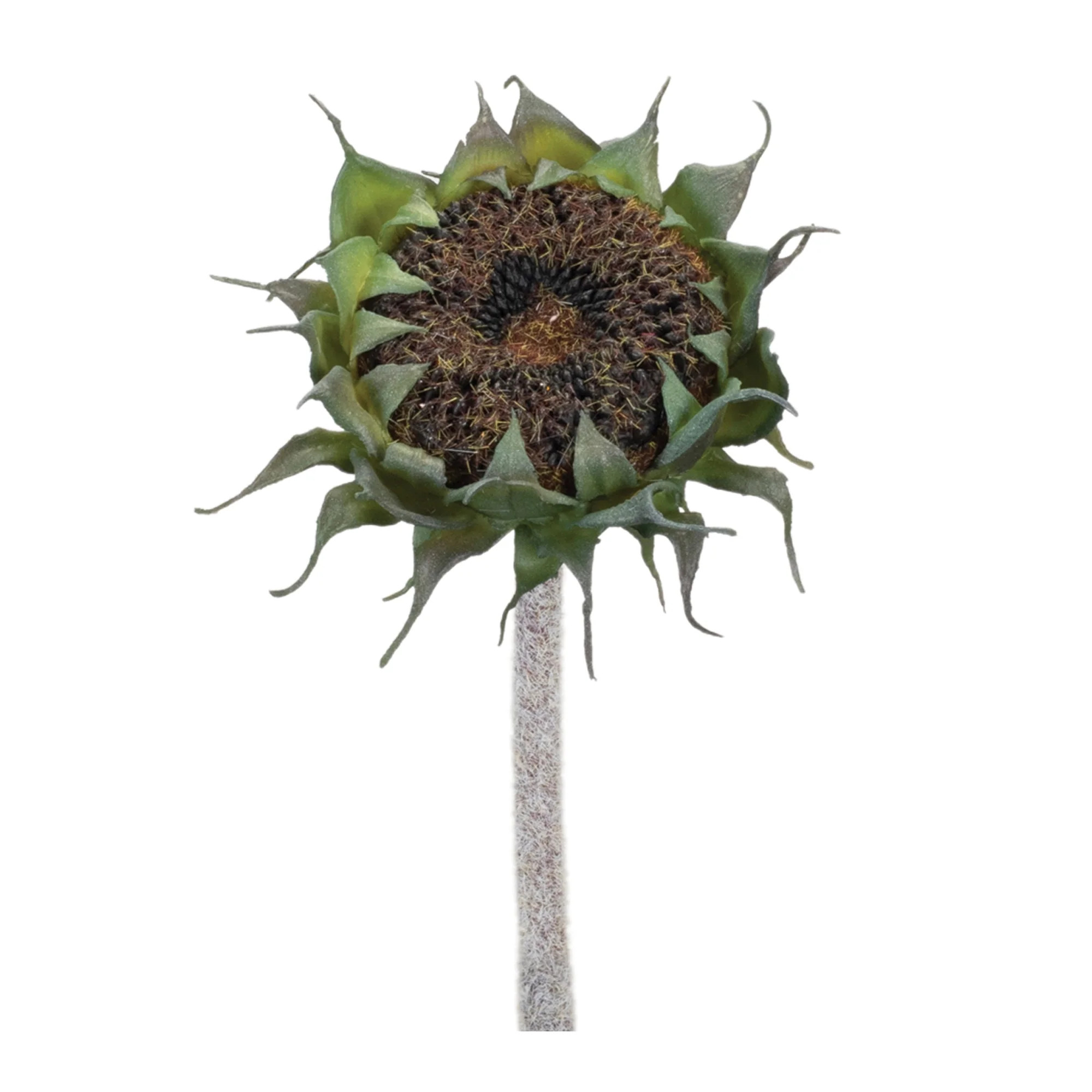 Melrose International Brown Sunflower Stem (Set of 6) - Black, Green | Shop Simon