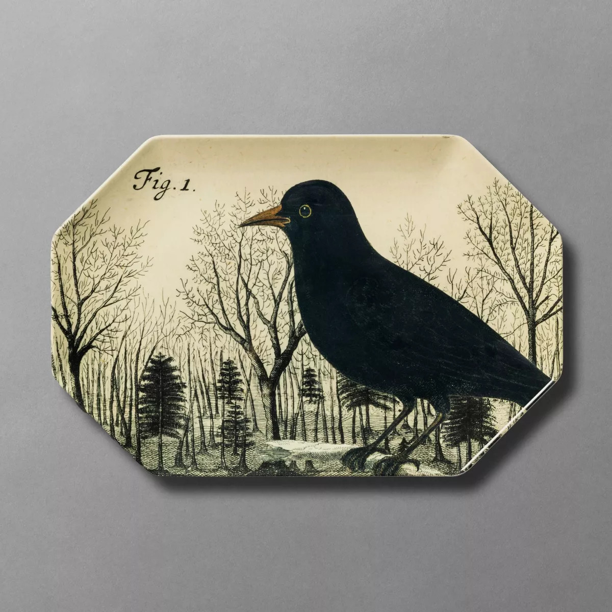 15"x10" Bird Melamine Octagon Serving Platter - John Derian For Target | Target
