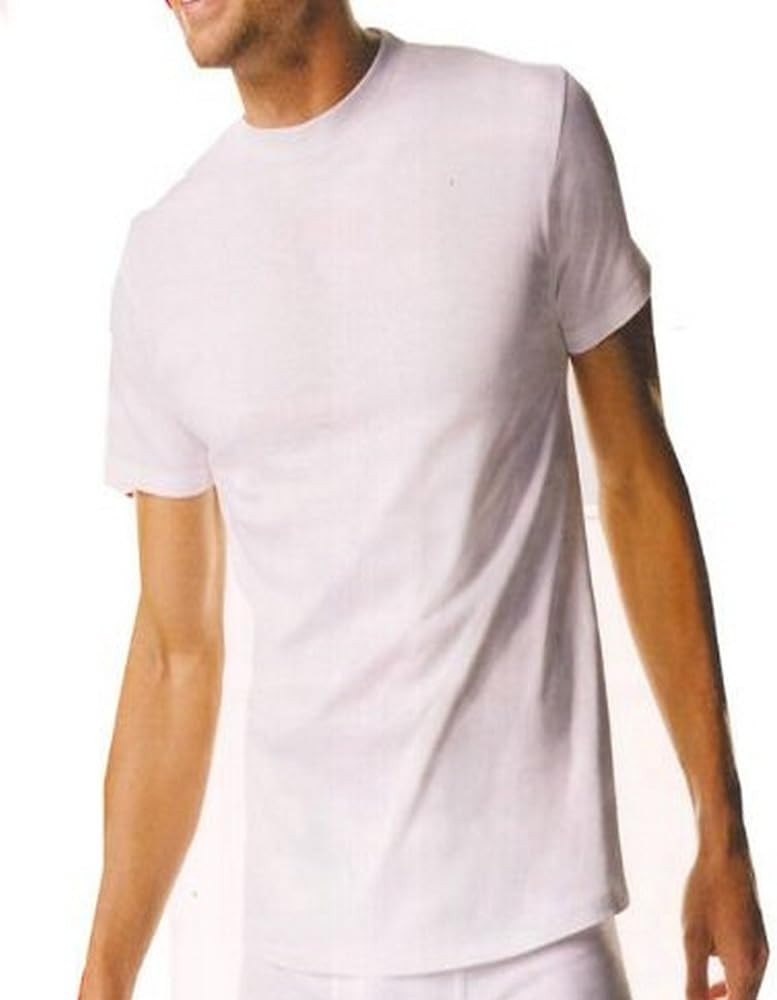 Hanes Men's Tagless Cotton Crew Undershirt – Multiple Packs and Colors | Amazon (US)