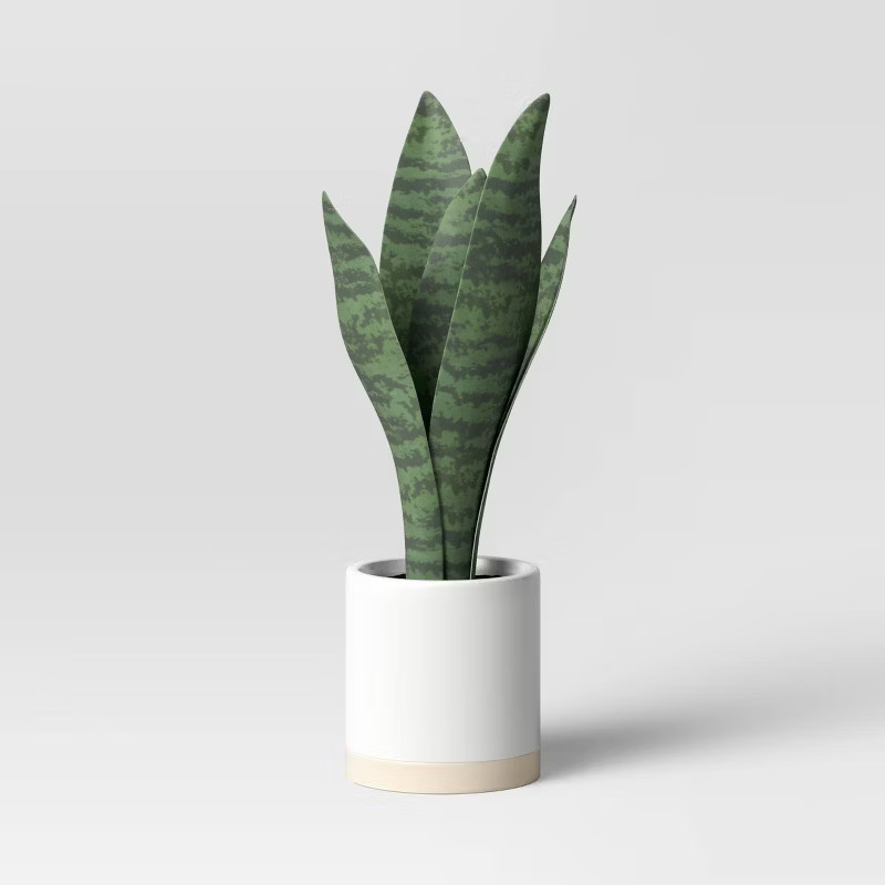 Small Snake Plant in Ceramic Pot White - Threshold™ | Target