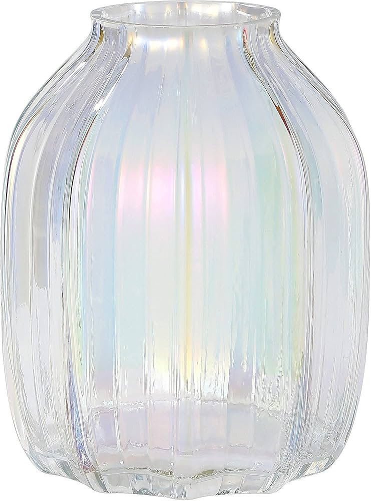 Large Colored Modern Glass Vase Irised Crystal Clear Glass Vase 8.0" for Decorative Home Office C... | Amazon (US)