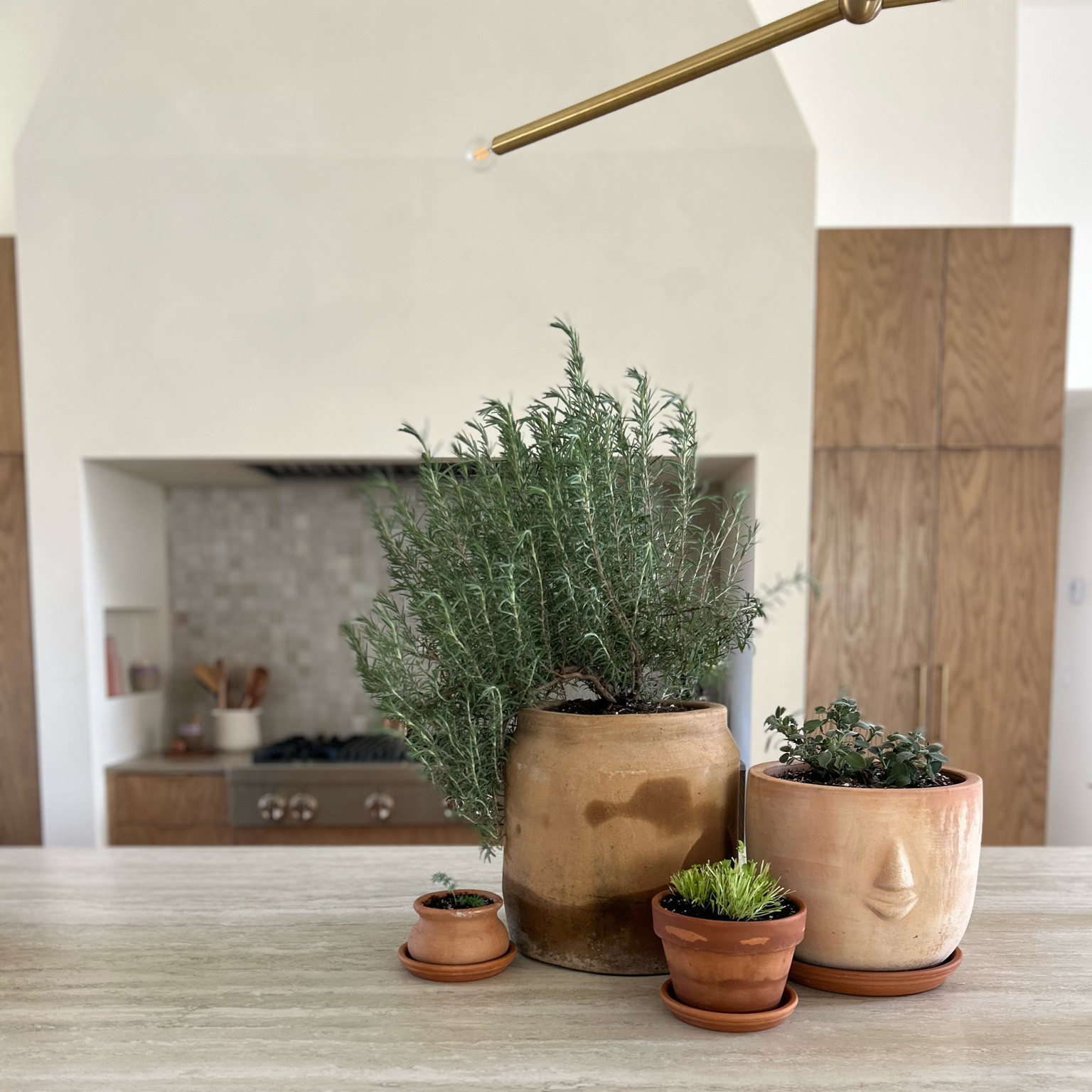 Little herb station.  My favorite way to create a grouping like this is pick one material or color!  All terracotta, all concrete or all white are my favs.  But other than that they don’t need to “match”.  

#LTKfamily #LTKhome #LTKSeasonal