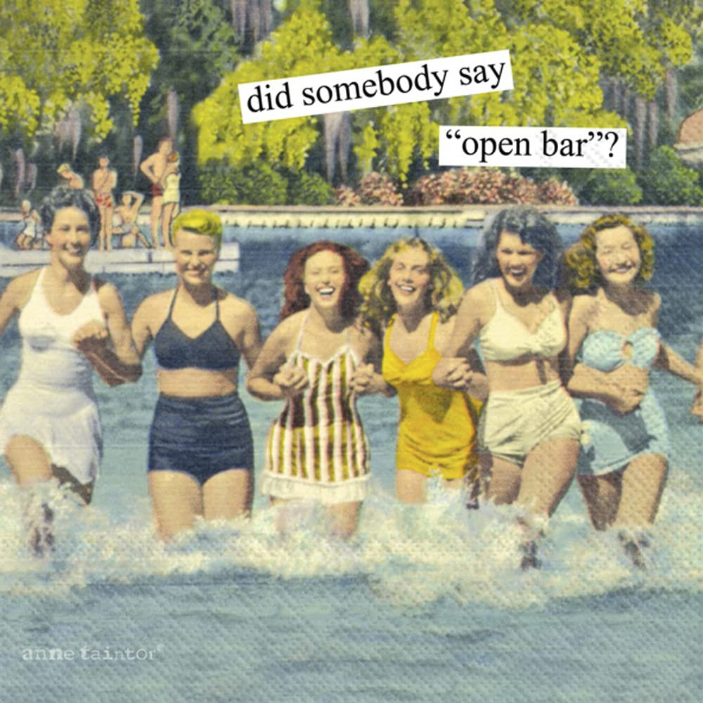 Amazon.com: IHR Ideal Home Range Retro Cocktail Napkins Anne Taintor Disposable 3-Ply Paper Party... | Amazon (US)