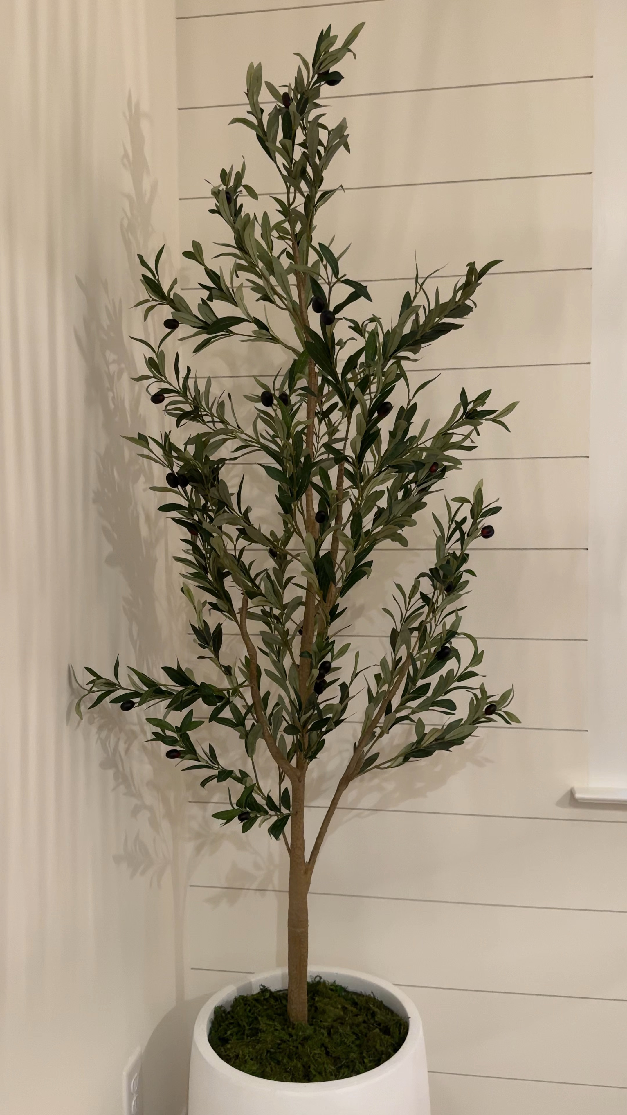Olive 🫒 tree anyone? 
Love the extra touch in our breakfast area! 

#LTKSeasonal #LTKHome #LTKU