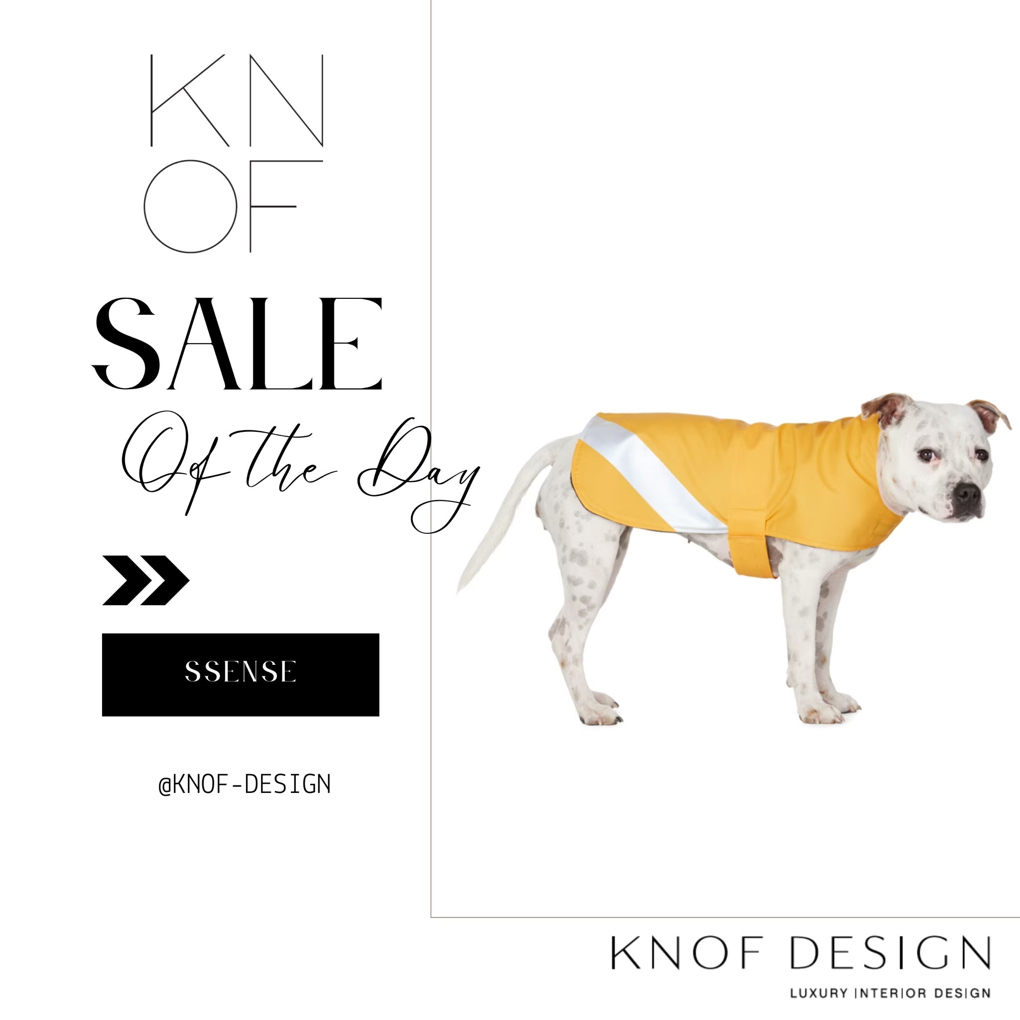 ‼️SALE‼️ Rainy day doggie delight! Don’t forget to keep your favorite furry friend stylish and dry!! Che k out this sweet rain jacket with reflective stripe. @knofdesign 

#LTKSaleAlert #LTKFitness #LTKFindsUnder50