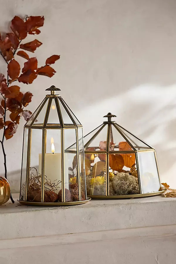 Domed Brass + Glass Cloche | Anthropologie (US)