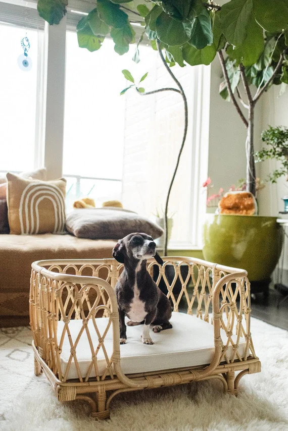 Everett Rattan Dog Bed | Etsy (US)