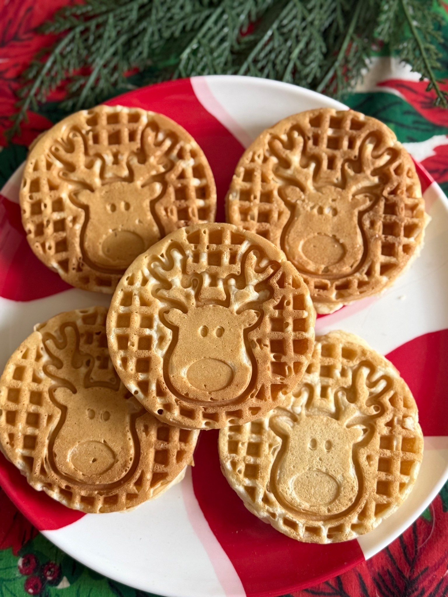 Christmas breakfast reindeer pancakes! This reindeer pancake and waffle maker is less than $10 and is so easy to use! They’re ready in no time and are delicious! This Christmas pancake and waffle maker will make a great holiday gift, White elephant present or stocking stuffer from Santa! ❤️🎅🏻🎄

#LTKGiftGuide #LTKHoliday #LTKFindsUnder50
