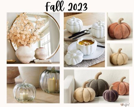 A few of my favorites for Fall 2023 


Fall decor , fall decorations , pumpkin pillows 

#LTKunder50 #LTKSeasonal #LTKhome