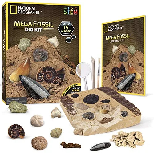 NATIONAL GEOGRAPHIC Mega Fossil Dig Kit - Excavate 15 real fossils including Dinosaur Bones, Mosa... | Walmart (US)