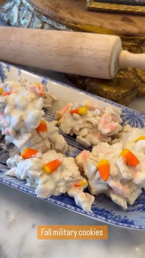 Sharing the fall version of my mother’s “military cookies” we cherished growing up. I make different versions of this cookie throughout the year for tailgates, school lunches & holidays. Enjoy Sidekicks! 

#LTKHalloween #LTKFamily #LTKSeasonal