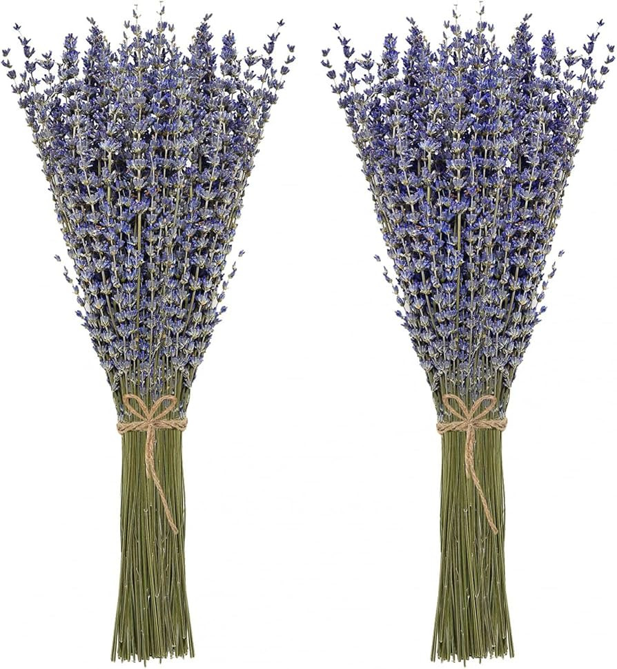 Timoo Dried Lavender Bundles 100 Natural Dried Lavender Flowers for Home Decoration, Photo Props,... | Amazon (US)