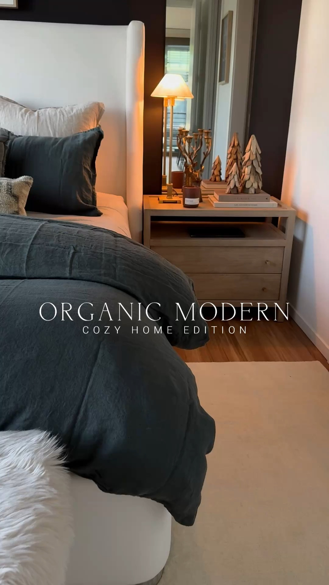 Organic modern cozy home styling🖤

#LTKHome