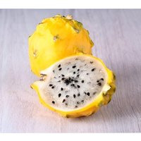 Yellow/White Dragon Fruit Plant 5 To 8 Inch Live Starter Sweet Delicious Baby | Etsy (US)