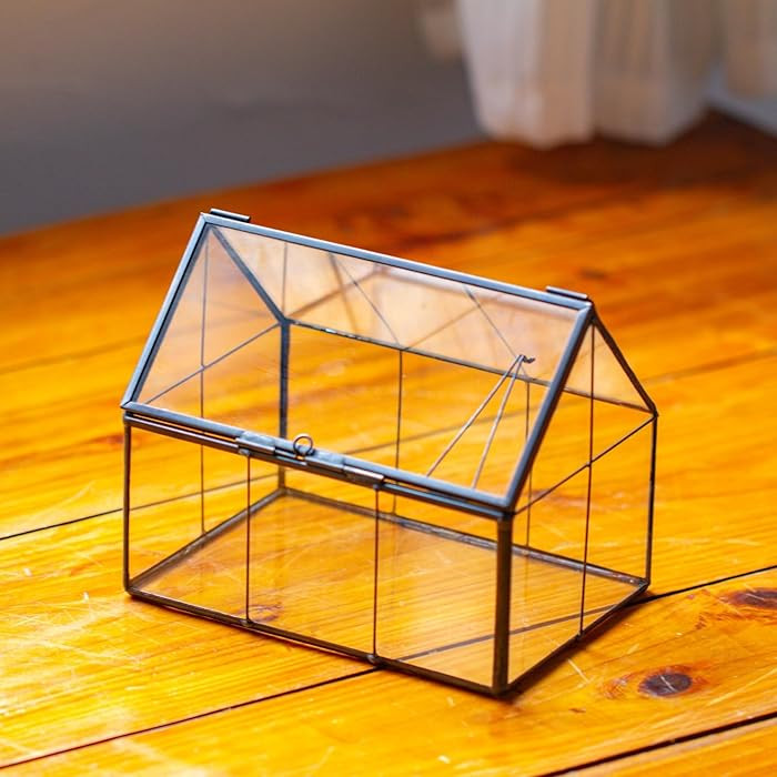 NCYP Mini Glass Terrarium with Lid - 6.1" x 4.25" x 4.92" House Shape Closed Planter Pot for Smal... | Amazon (US)
