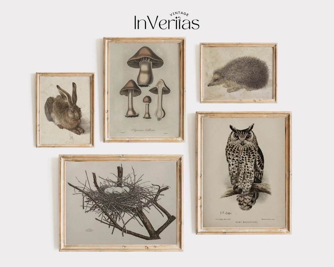 Dark Cottagecore Goblincore Gallery Wall Set  Bundle of 5 - Etsy | Etsy (US)